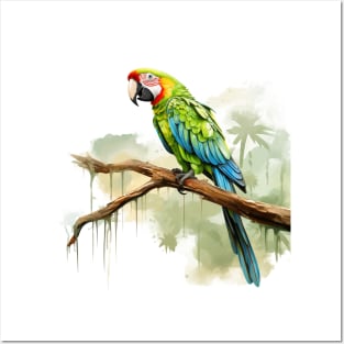 Military Macaw Posters and Art
